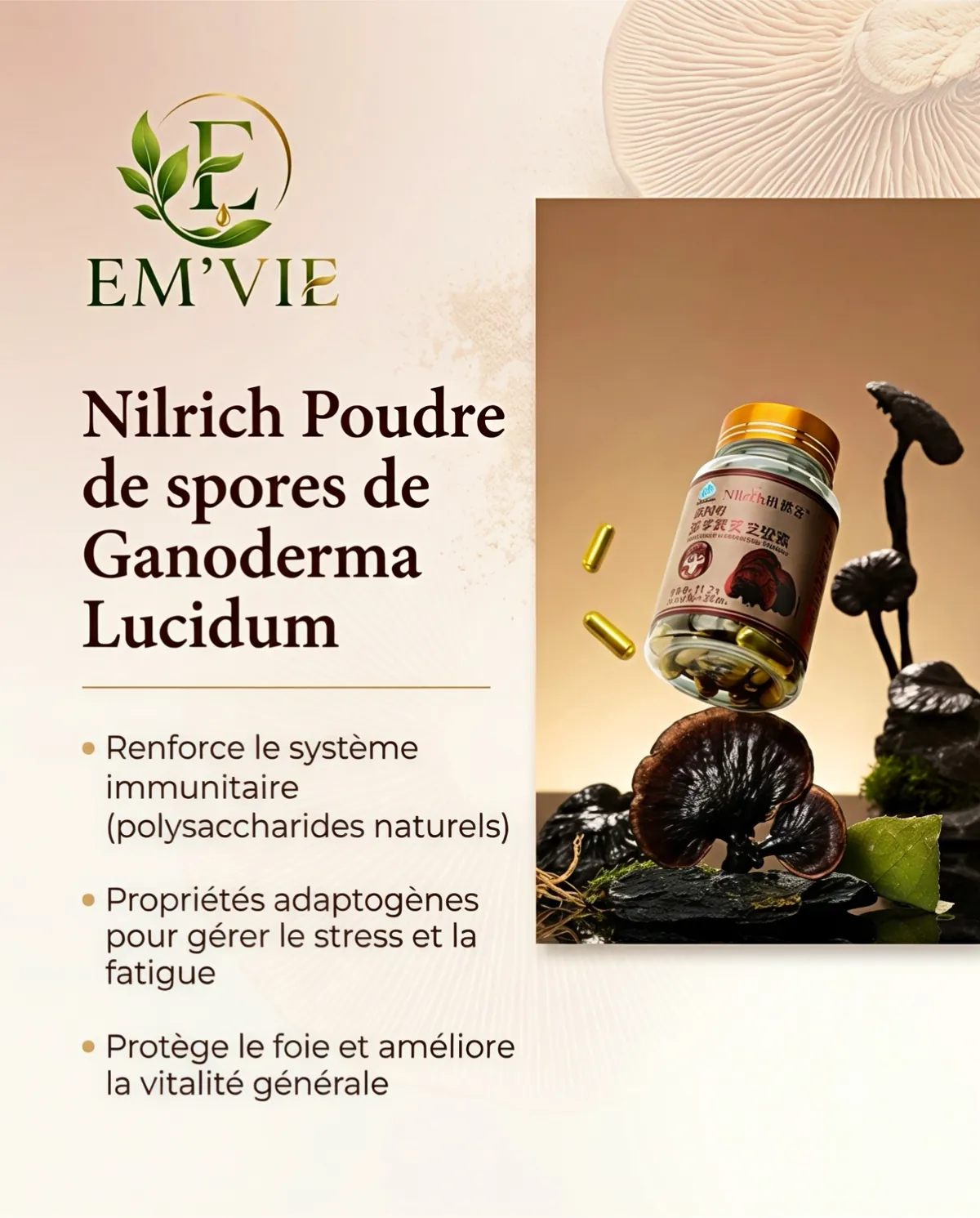 Nilrich Poudre de spores de Ganoderma Lucidum